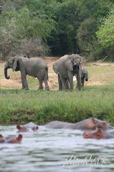 Mud Maps Africa Murchison Falls NP 2671